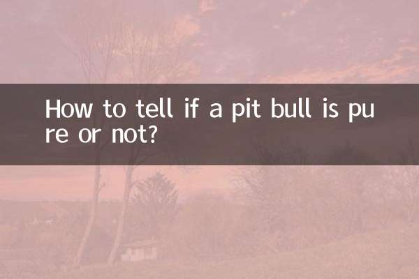 একটি পিট ষাঁড় খাঁটি কিনা তা কিভাবে বুঝবেন?