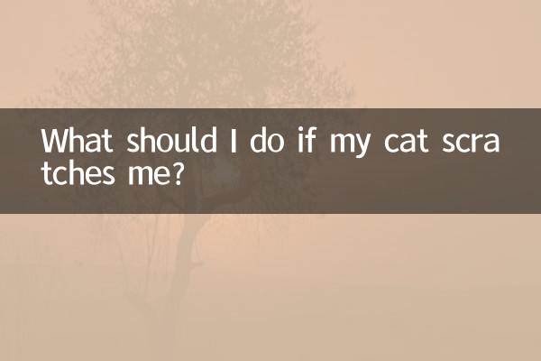 Que dois-je faire si mon chat me griffe ?