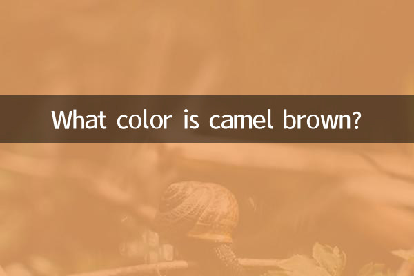 قهوه ای شتری چه رنگی است؟