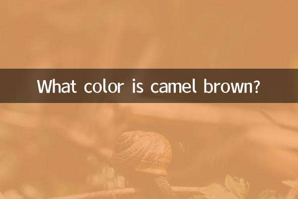 ऊँट का भूरा रंग किस रंग का होता है?