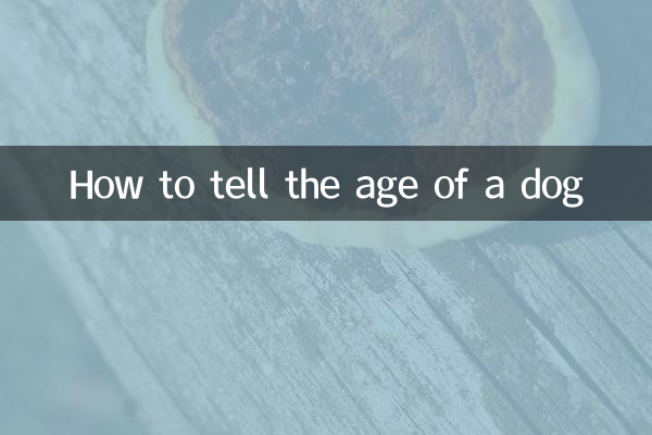 کتے کی عمر کو کیسے بتائیں