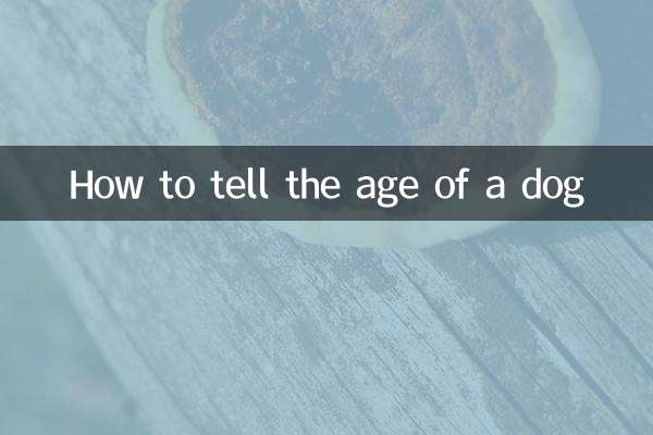 Wie erkennt man das Alter eines Hundes?