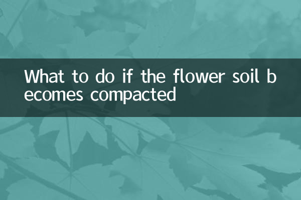 Что делать, если цветочная почва уплотнилась