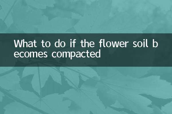 Что делать, если цветочная почва уплотнилась
