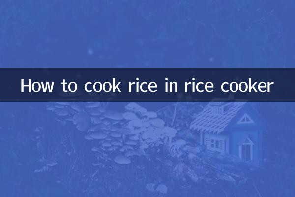 Como cozinhar arroz na panela de arroz