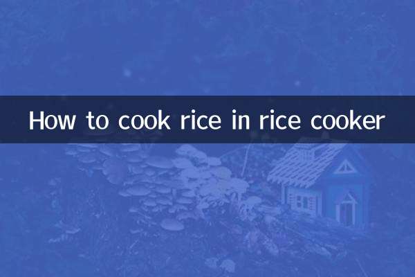 Como cozinhar arroz na panela de arroz