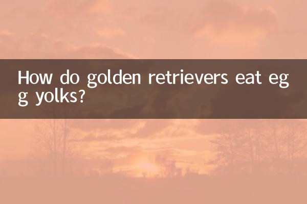 Come fanno i Golden Retriever a mangiare i tuorli d'uovo?