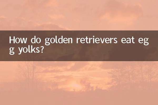 金毛怎么吃蛋黄