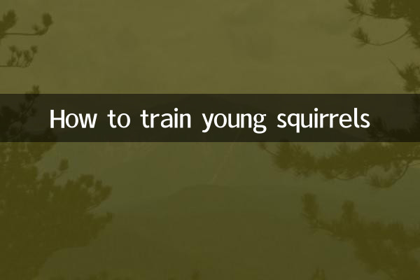 幼松鼠怎麼訓練