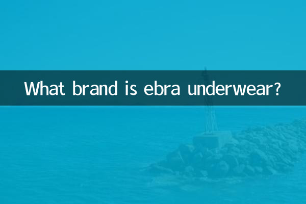 De quelle marque sont les sous-vêtements ebra ?