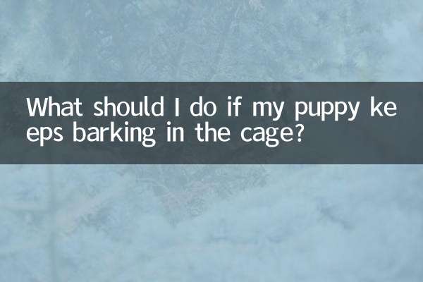 小狗關籠子一直叫怎麼辦