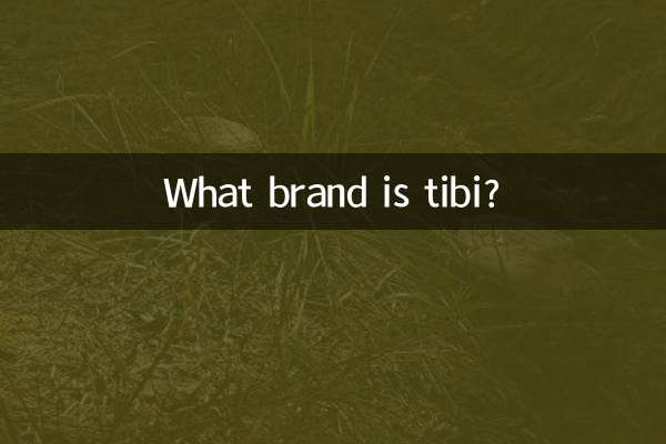 티비는 어떤 브랜드인가요?