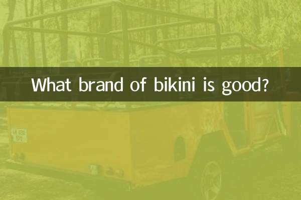 Qual marca de biquíni é boa?