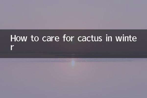 How to care for cactus in winter