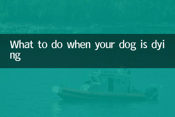 愛犬が死にそうになったらどうするか