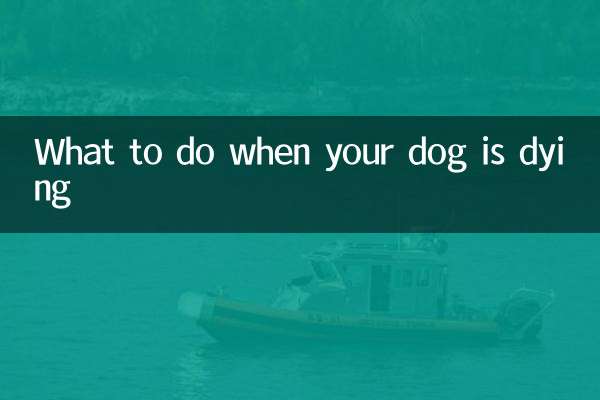 Que faire lorsque votre chien est en train de mourir