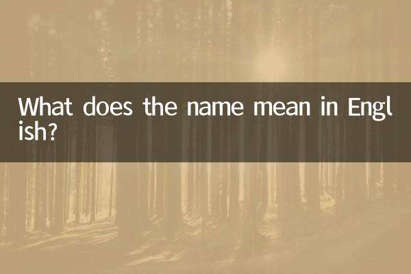 その名前は英語で何と言うのでしょうか？