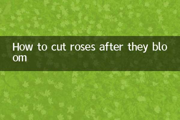 玫瑰開花怎麼剪