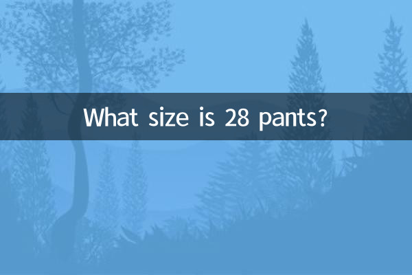 28 पैंट का आकार क्या है?