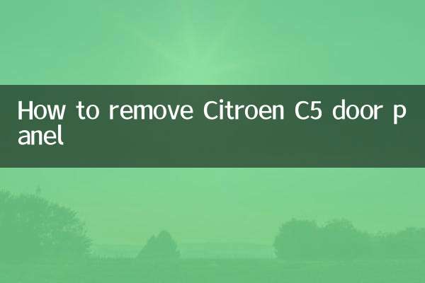 シトロエンC5のドアパネルの外し方