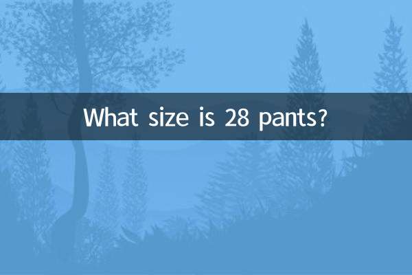 28 पैंट का आकार क्या है?