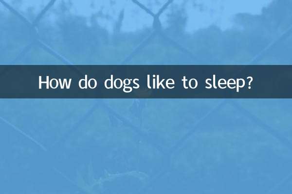 狗狗喜歡怎麼睡