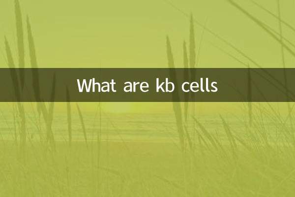 سلول های kb چیست؟