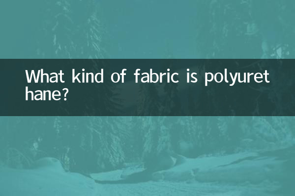 滌氨是什麼面料