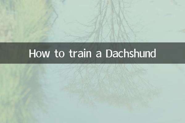 كيفية تدريب كلب ألماني