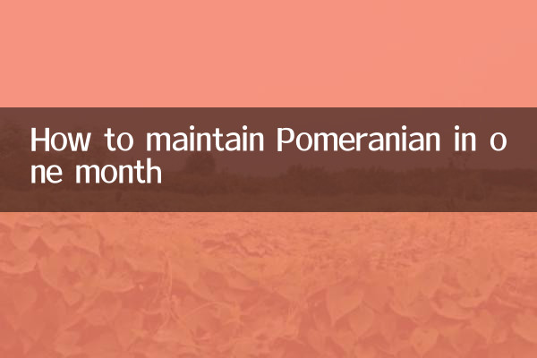 কিভাবে এক মাসে পোমেরানিয়ান বজায় রাখা যায়