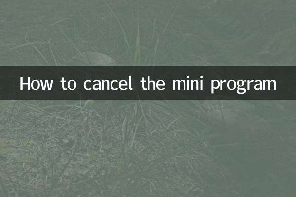 منی پروگرام کو کیسے منسوخ کریں