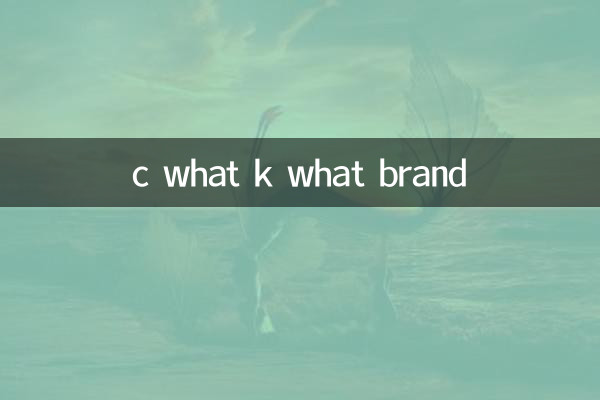 c 무슨 브랜드야?