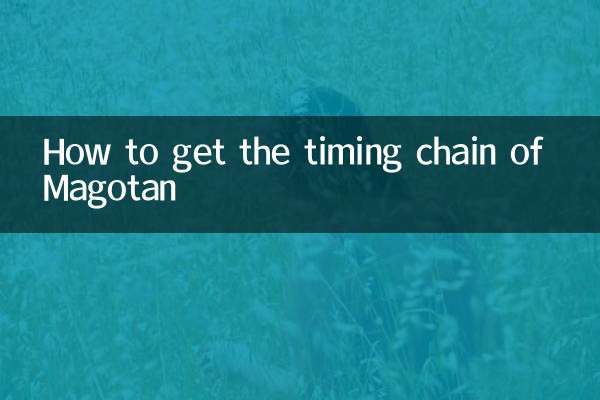 How to get the timing chain of Magotan