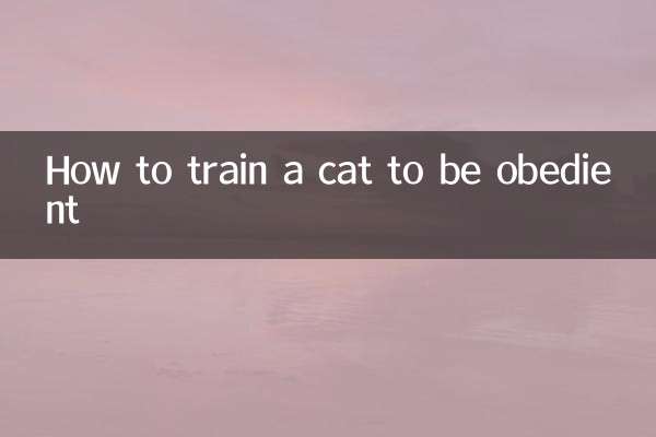 Como treinar um gato para ser obediente