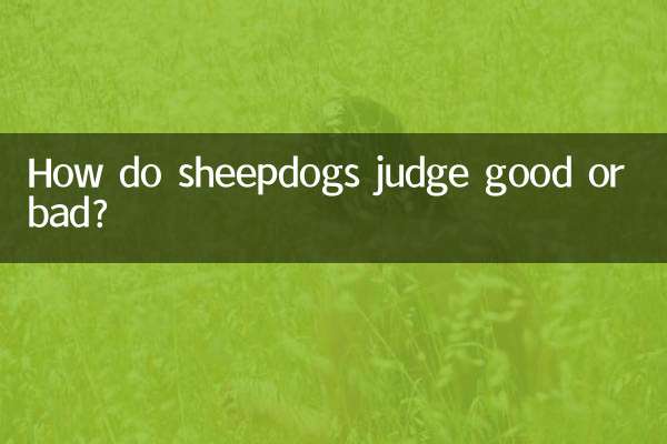 How do sheepdogs judge good or bad?