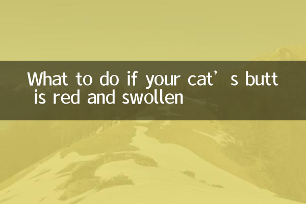 What to do if your cat’s butt is red and swollen