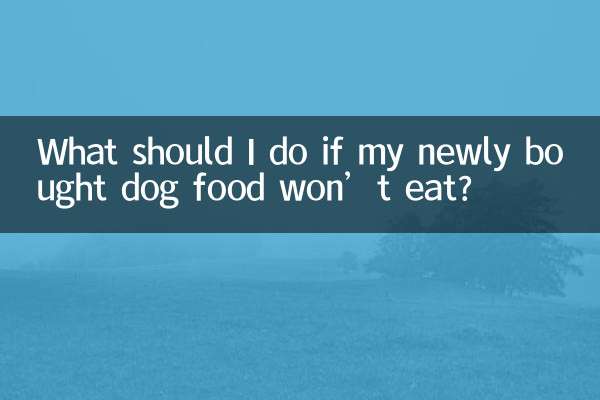 ¿Qué debo hacer si la comida para perros que recién compré no come?