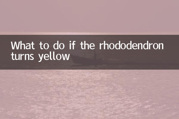 What to do if the rhododendron turns yellow