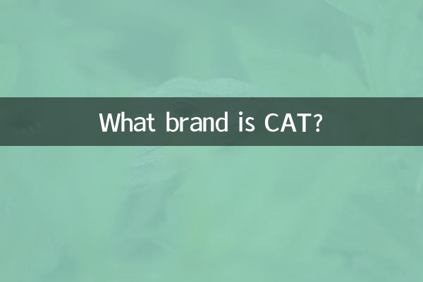 Che marca è CAT?