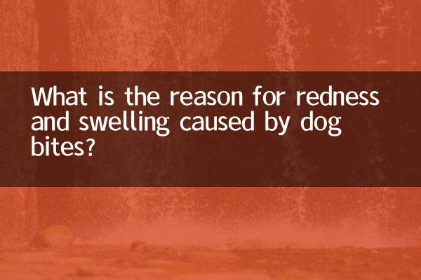 Qual è la ragione del rossore e del gonfiore causati dai morsi di cane?