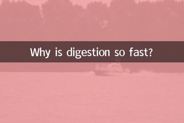 কেন এত দ্রুত হজম হয়?
