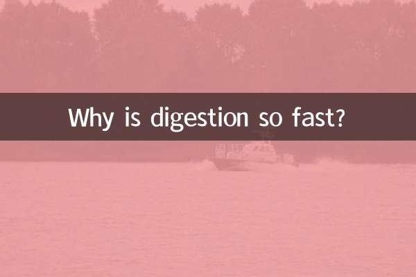 কেন এত দ্রুত হজম হয়?