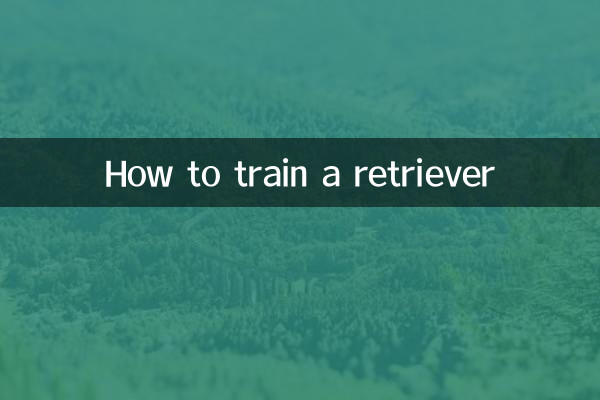 كيفية تدريب المسترد