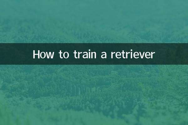 কিভাবে একটি উদ্ধারকারী প্রশিক্ষণ