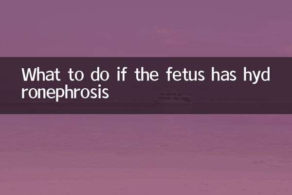 ভ্রূণের হাইড্রোনফ্রোসিস হলে কী করবেন