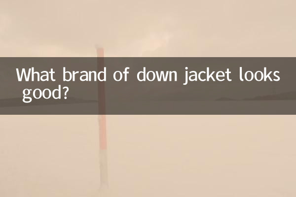 다운재킷 어떤 브랜드가 좋을까?