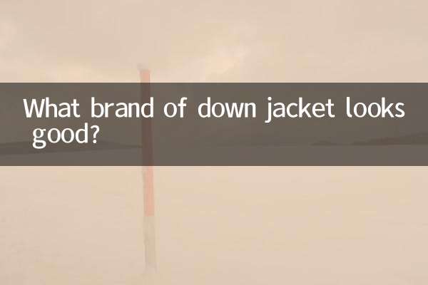 Какая марка пуховика выглядит хорошо?