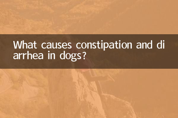 犬の便秘や下痢の原因は何でしょうか?