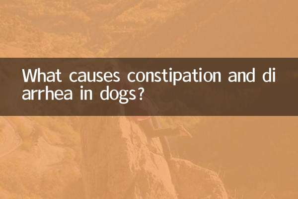 犬の便秘や下痢の原因は何でしょうか？