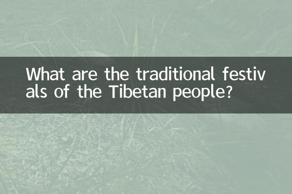 티베트 사람들의 전통 축제는 무엇입니까?